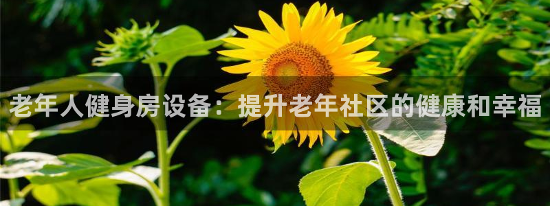 海南意昂体育3发展怎么样：老年人健身房设备：提升老年