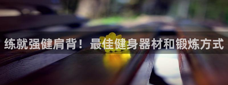意昂3新能源