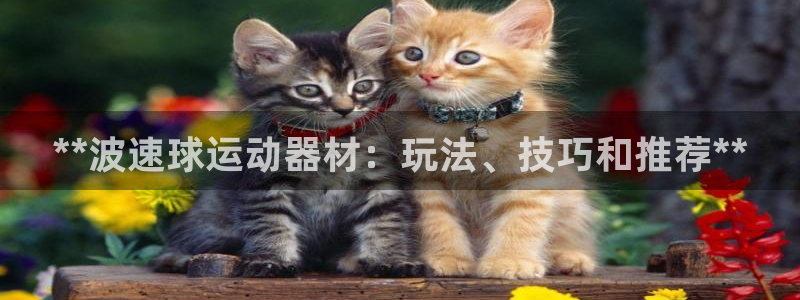 德国意昂3集团