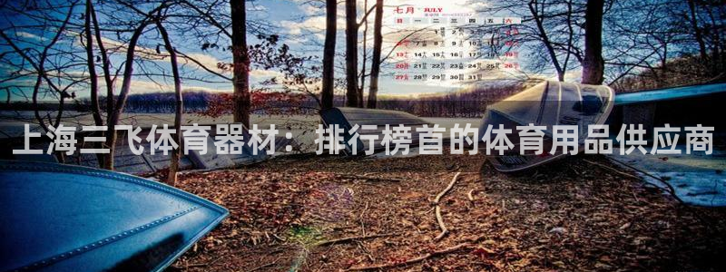 意昂体育3招商电话是多少号码：上海三飞体育器材：排行