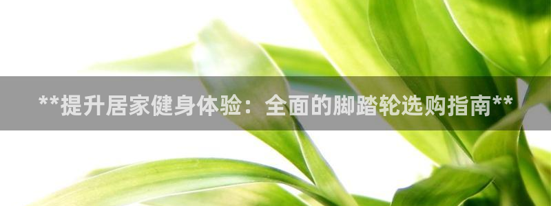 意昂3集团E.ON：**提升居家健身体验：全面的脚踏