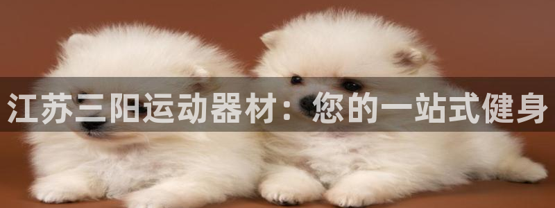 意昂体育3平台是正规平台吗安全吗：江苏三阳运动器材：