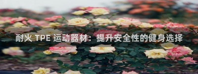 意昂体育3招商电话：耐火 TPE 运动器材：提升安全