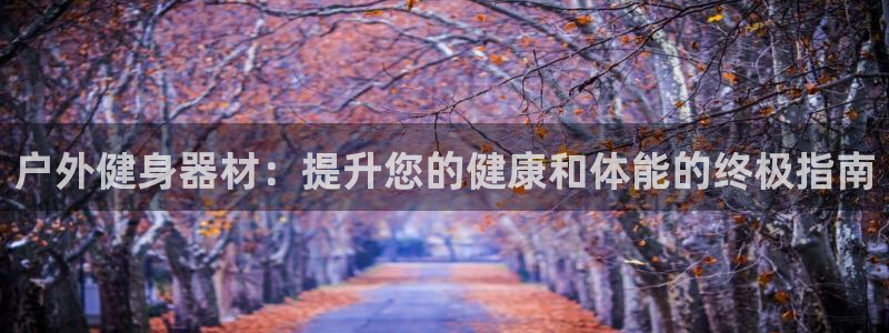 意昂3娱乐平台：户外健身器材：提升您的健康和体能的终