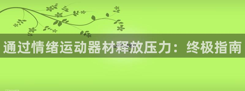 意昂体育3联系电话：通过情绪运动器材释放压力：终极指