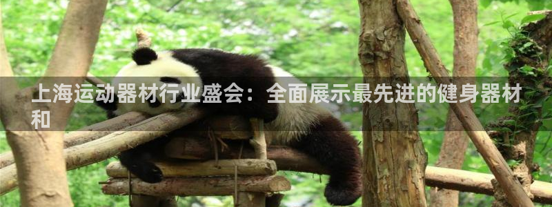 意昂3官方：上海运动器材行业盛会：全面展示最先进的健