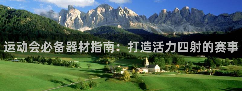 意昂体育3平台假的吗是真的吗：运动会必备器材指南：打