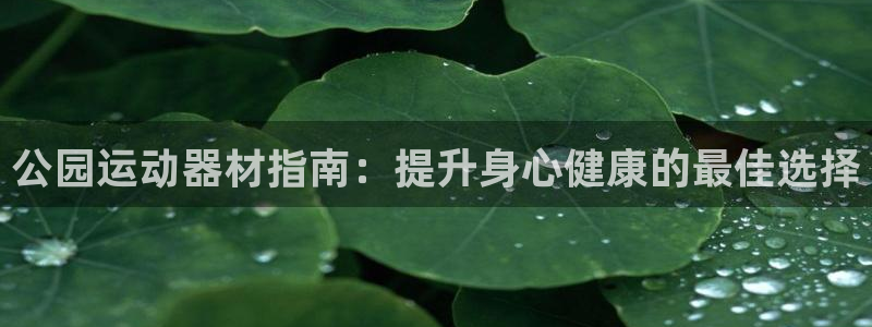 意昂平台体育：公园运动器材指南：提升身心健康的最佳选