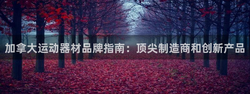 意昂体育3官方客服电话：加拿大运动器材品牌指南：顶尖