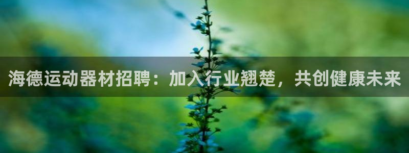 意昂3娱乐：海德运动器材招聘：加入行业翘楚，共创健康