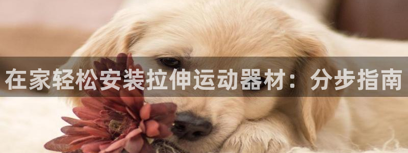 意昂体育3平台注册流程视频：在家轻松安装拉伸运动器材