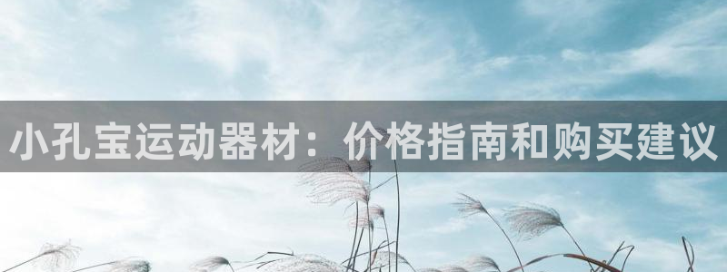 意昂体育3是干嘛的公司：小孔宝运动器材：价格指南和购