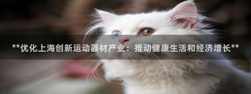 意昂体育3招商电话号码：**优化上海创新运动器材产业