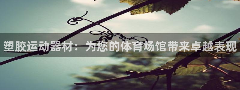 意昂3娱乐：塑胶运动器材：为您的体育场馆带来卓越表现