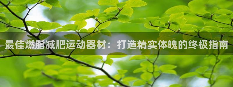 意昂体育3平台注册要钱吗：最佳燃脂减肥运动器材：打造