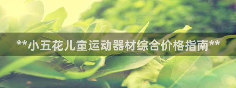 意昂体育3平台注册流程视频：**小五花儿童运动器材综
