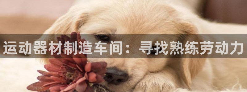 意昂体育3平台注册流程视频：运动器材制造车间：寻找熟