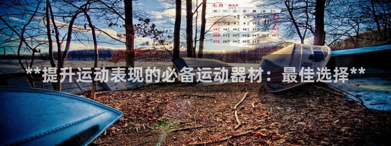 意昂3娱乐平台：**提升运动表现的必备运动器材：最佳