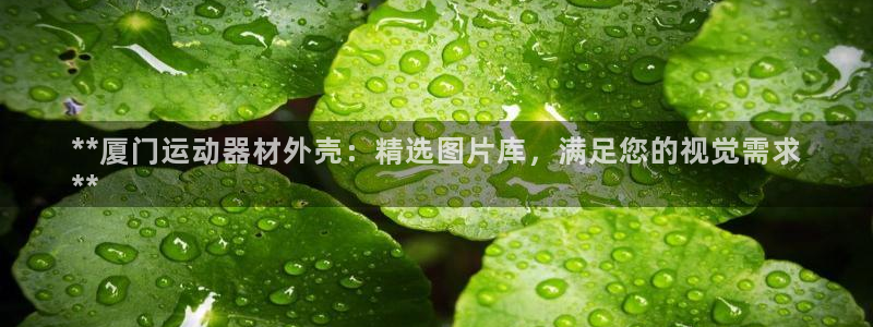意昂3娱乐平台：**厦门运动器材外壳：精选图片库，满