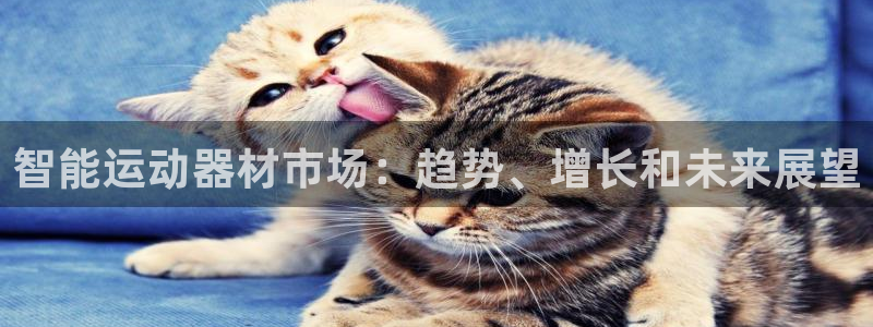 注册意昂3：智能运动器材市场：趋势、增长和未来展望