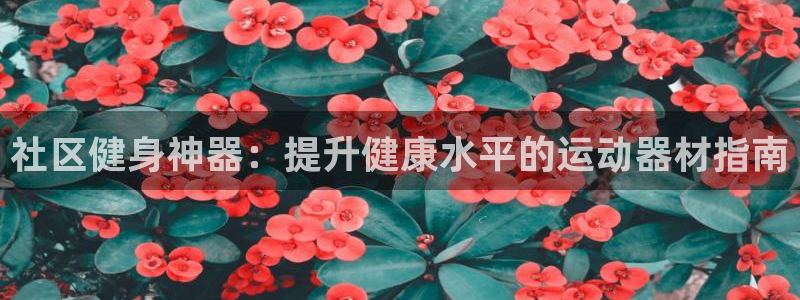 意昂3娱乐40996：社区健身神器：提升健康水平的运