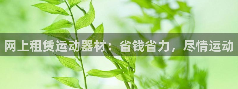 意昂平台体育：网上租赁运动器材：省钱省力，尽情运动