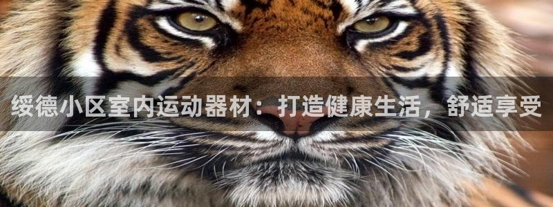 意昂体育3招商电话号码查询：绥德小区室内运动器材：打