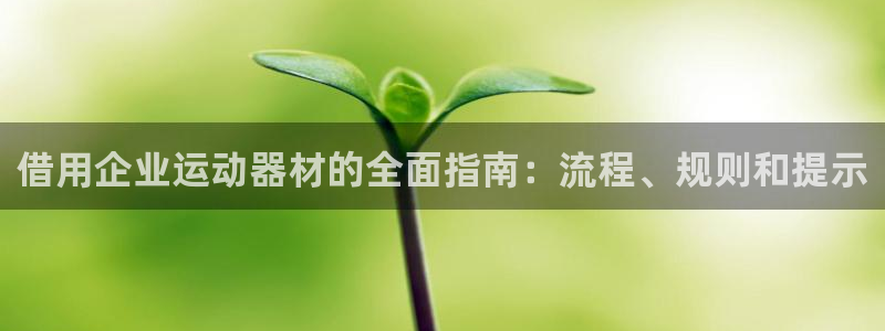 德国意昂3集团：借用企业运动器材的全面指南：流程、规