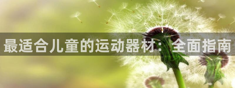 意昂3五金厂：最适合儿童的运动器材：全面指南