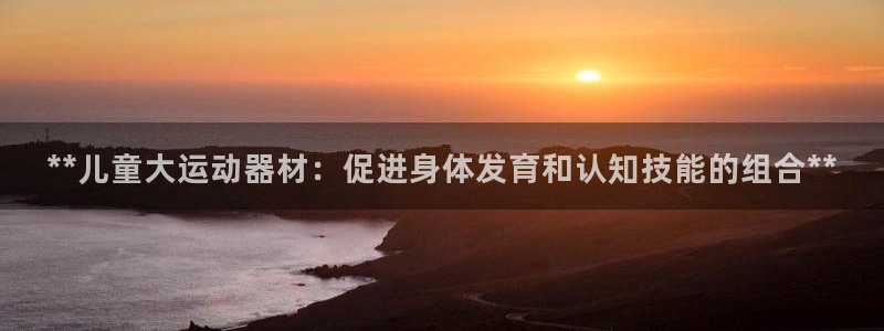 意昂集团官网：**儿童大运动器材：促进身体发育和认知