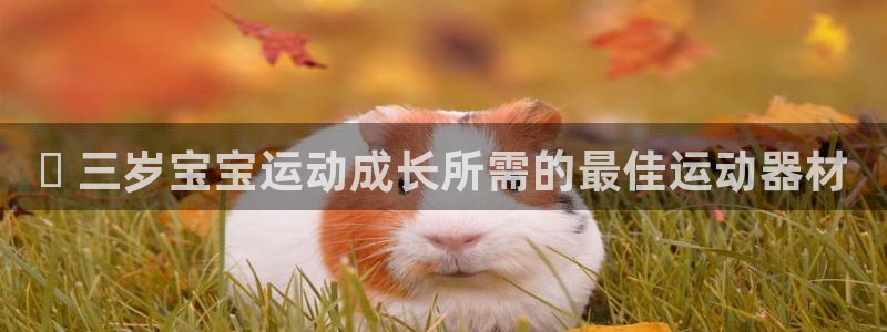 意昂3科技：✅ 三岁宝宝运动成长所需的最佳运动器材