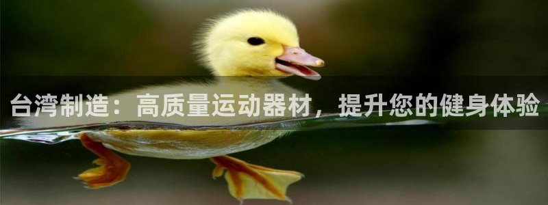 意昂集团官网：台湾制造：高质量运动器材，提升您的健身