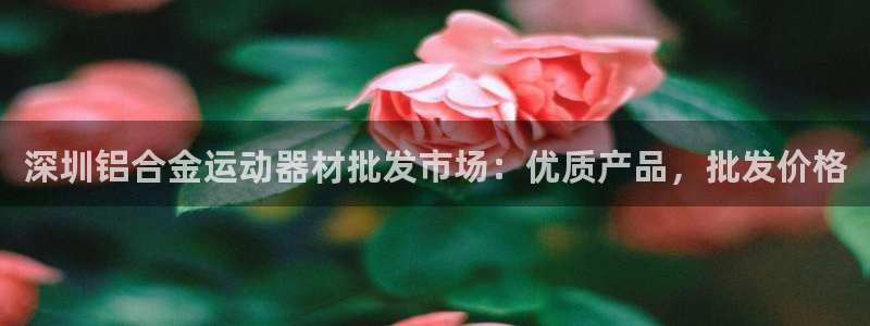 意昂体育3招商：深圳铝合金运动器材批发市场：优质产品，批发价