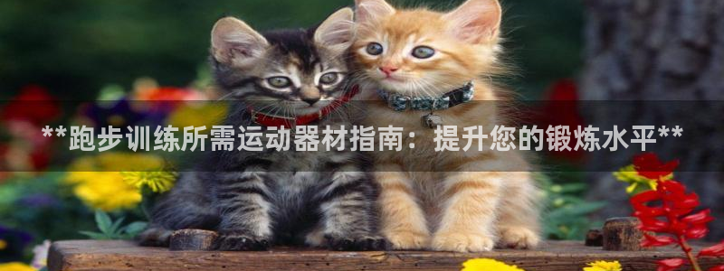 意昂3五金厂：**跑步训练所需运动器材指南：提升您的