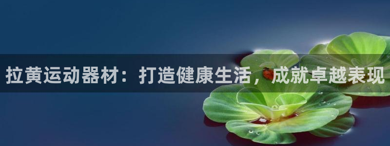 意昂体育3招商电话号码查询：拉黄运动器材：打造健康生