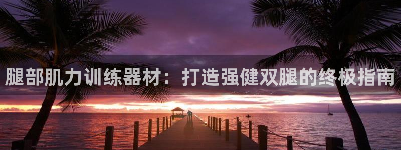意昂3集团简介：腿部肌力训练器材：打造强健双腿的终极