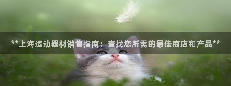 意昂体育3招商：**上海运动器材销售指南：查找您所需的最佳商