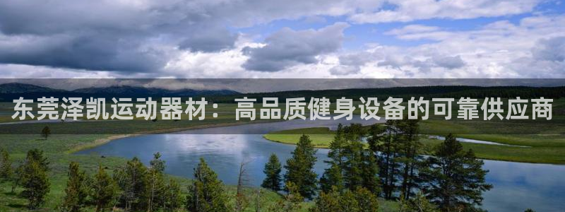 德国意昂3集团：东莞泽凯运动器材：高品质健身设备的可