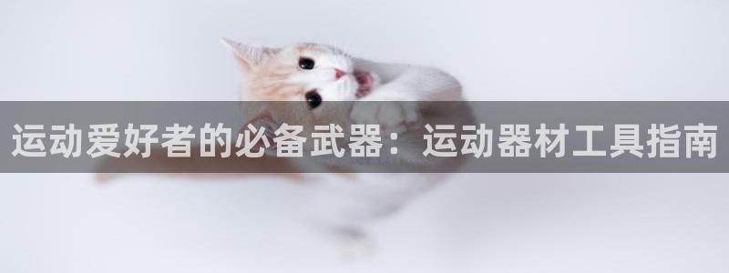 意昂3代理：运动爱好者的必备武器：运动器材工具指南