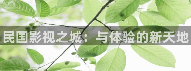 五五影视影院