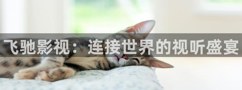 五五理论电影