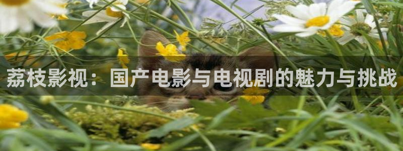 五五婷婷影院