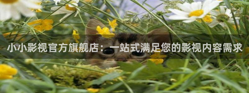 五五影视电影