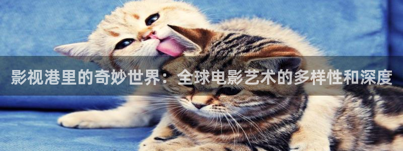五五免费影院