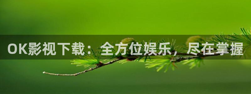 五五看影视官网