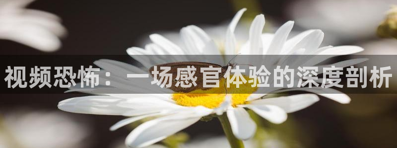 五五影院免费电视剧